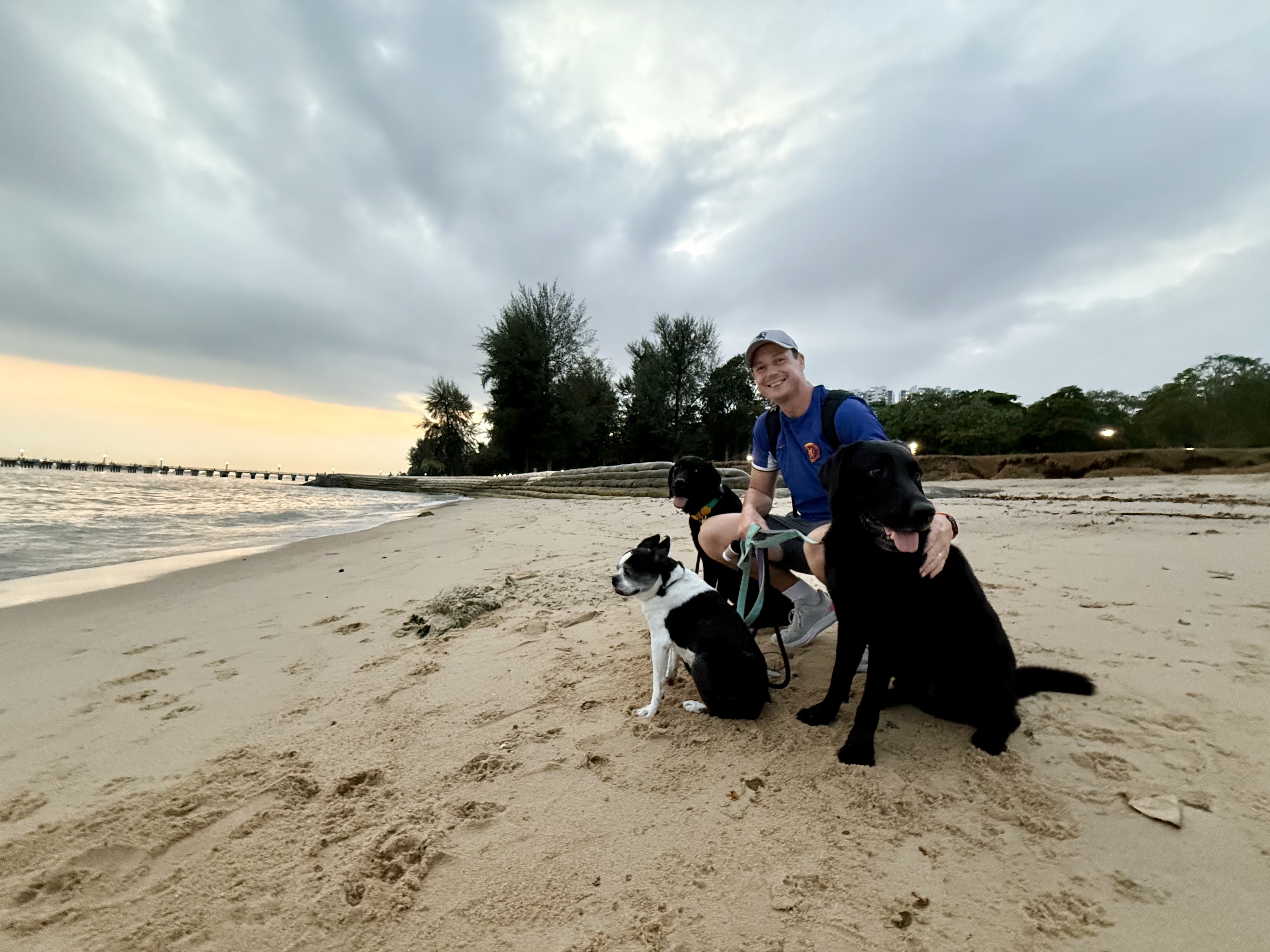 G'day Paws photo 3